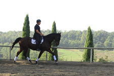 Italy-Tuscany-Dressage Clinic in Tuscany